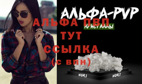 индика Белокуриха