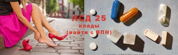 индика Белокуриха