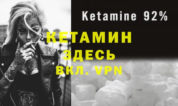 индика Белокуриха