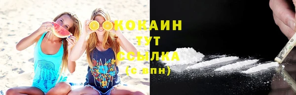 индика Белокуриха