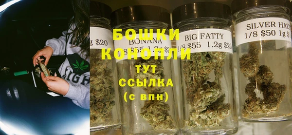 индика Белокуриха