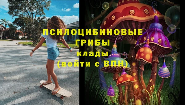 индика Белокуриха