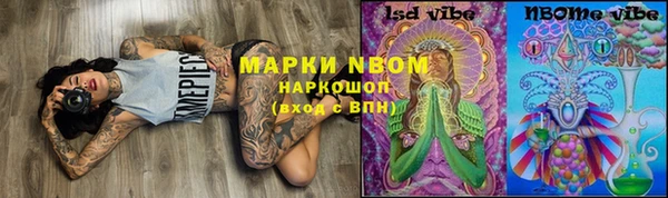индика Белокуриха