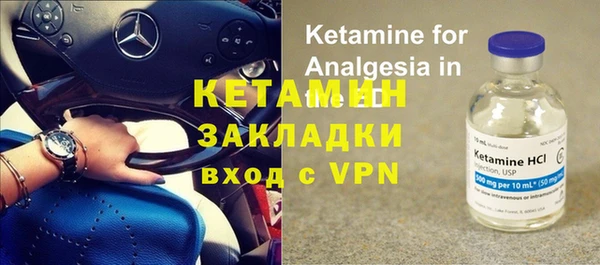 индика Белокуриха