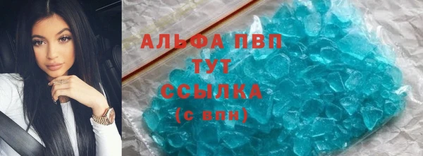 индика Белокуриха